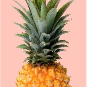 Meet your Posher, Lina